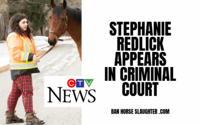 STEPHANIE REDLICK IN CRIMINAL COURT
