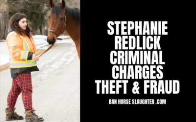 STEPHANIE MARTIN REDLICK FACING CRIMINAL CHARGES