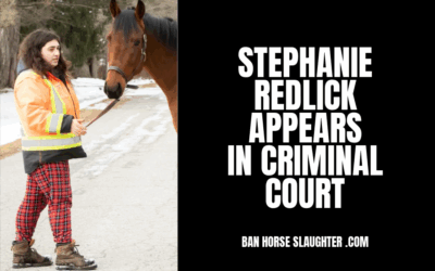 MS STEPHANIE REDLICK IN CRIMINAL COURT AGAIN