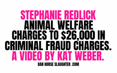 VIDEO:  MS. REDLICK’S CRIMINAL COURT APPEARANCE