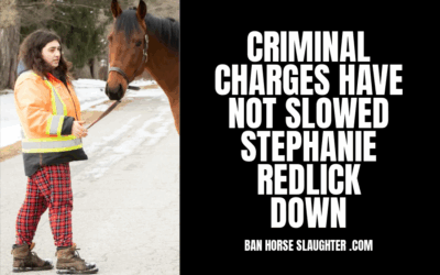 STEPHANIE ALESSIA REDLICK