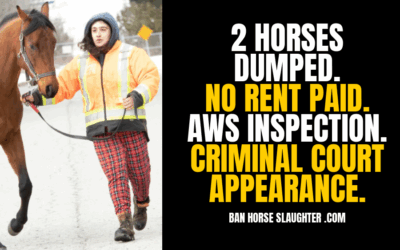 STEPHANIE REDLICK AWS VISITS AGAIN