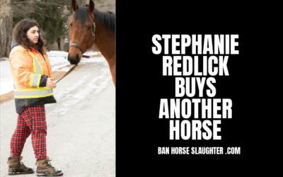 STEPHANIE REDLICK DESPERATE