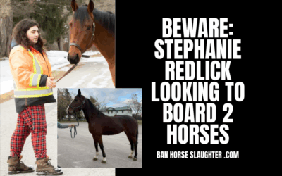 BEWARE STEPHANIE REDLICK CRIMINAL CHARGES