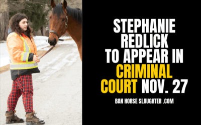 STEPHANIE REDLICK FACING FRAUD & THEFT CHARGES