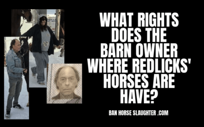 ONTARIO BARN OWNER DENIED RENT