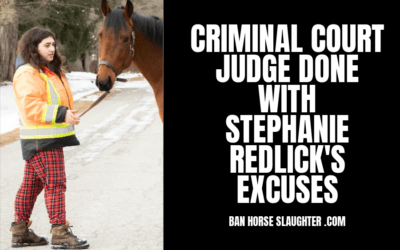 STEPHANIE REDLICK IN CRIMINAL COURT AGAIN