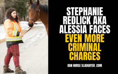 CTV REPORTS: REDLICK FACES MORE CRIMINAL CHARGES