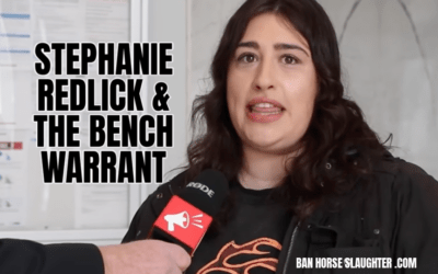 STEPHANIE REDLICK SKIPS COURT