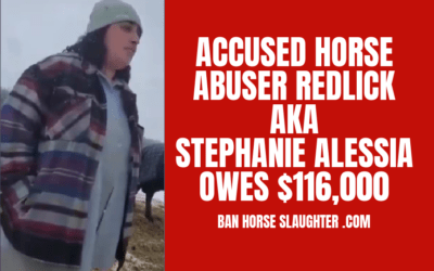STEPHANIE REDLICK OWES $116,229,12