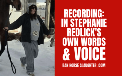 STEPHANIE REDLICK VOICE SAMPLE