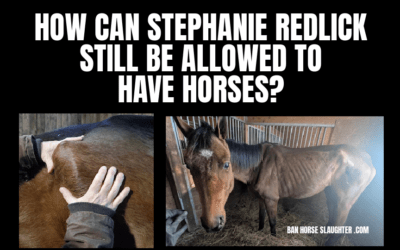 WHY IS REDLICK ALLOWED TO HAVE HORSES?