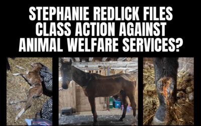 STEPHANIE REDLICK VS AWS CLASS ACTION SUIT?