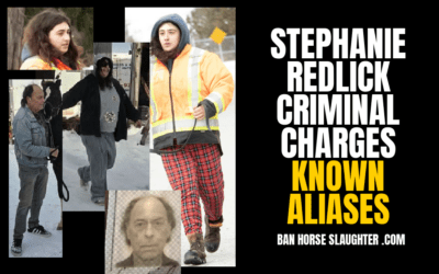 STEPHANIE REDLICK ALIASES