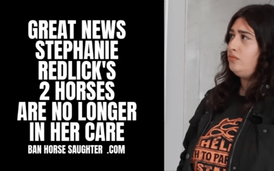 STEPHANIE REDLICK’S 2 HORSES ARE SAFE