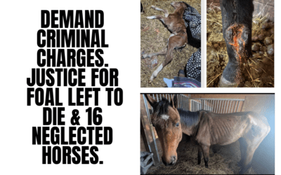DEMAND CRIMINAL CHARGES