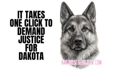 DEMAND JUSTICE FOR DAKOTA