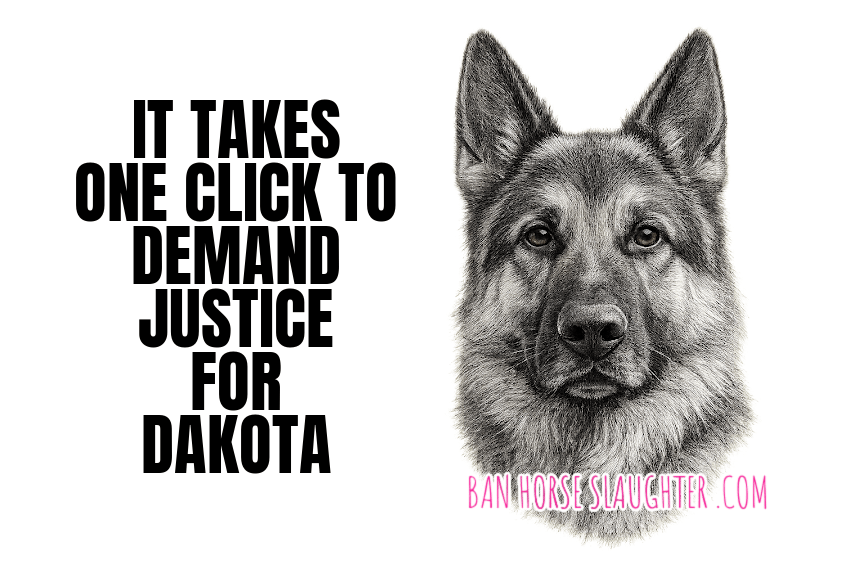 DEMAND JUSTICE FOR DAKOTA