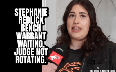 STEPHANIE REDLICK IN CRIMINAL COURT