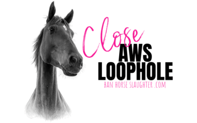 CHARGED WITH NEGLECT YET REDLICK CAN STILL OWN HORSES?