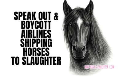 DONE FOR YOU PUSH BUTTON EMAIL CAMPAIGN