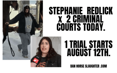 STEPHANIE REDLICK CRIMINAL COURT AGAIN