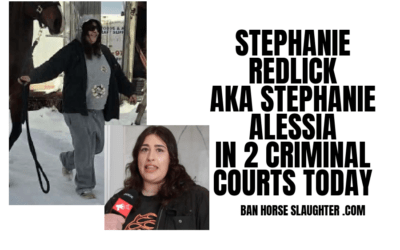 STEPHANIE REDLICK CRIMINAL COURT APPEARANCES