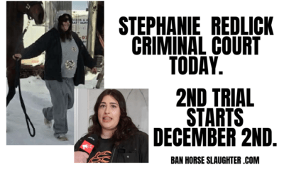 STEPHANIE REDLICK CRIMINAL COURT DATES