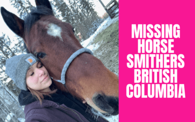 SMITHERS BC MISSING HORSE