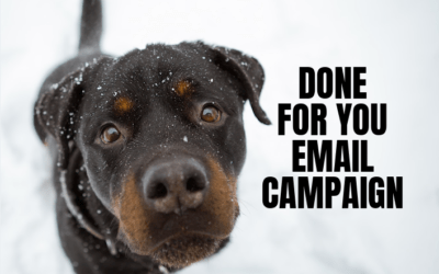 HEINIU EMAIL CAMPAIGN