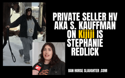 ON KIJIJI HV AKA S. KAUFFMAN IS STEPHANIE REDLICK
