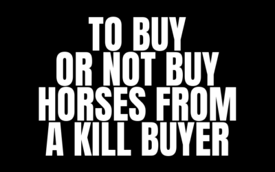 TO BUY OR NOT BUY HORSES FROM KILL BUYERS