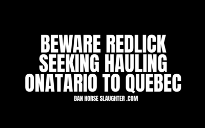 STEPHANIE REDLICK QUEBEC CONNECTION