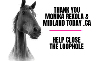 THANK YOU MONIKA REKOLA & MIDLAND TODAY .CA